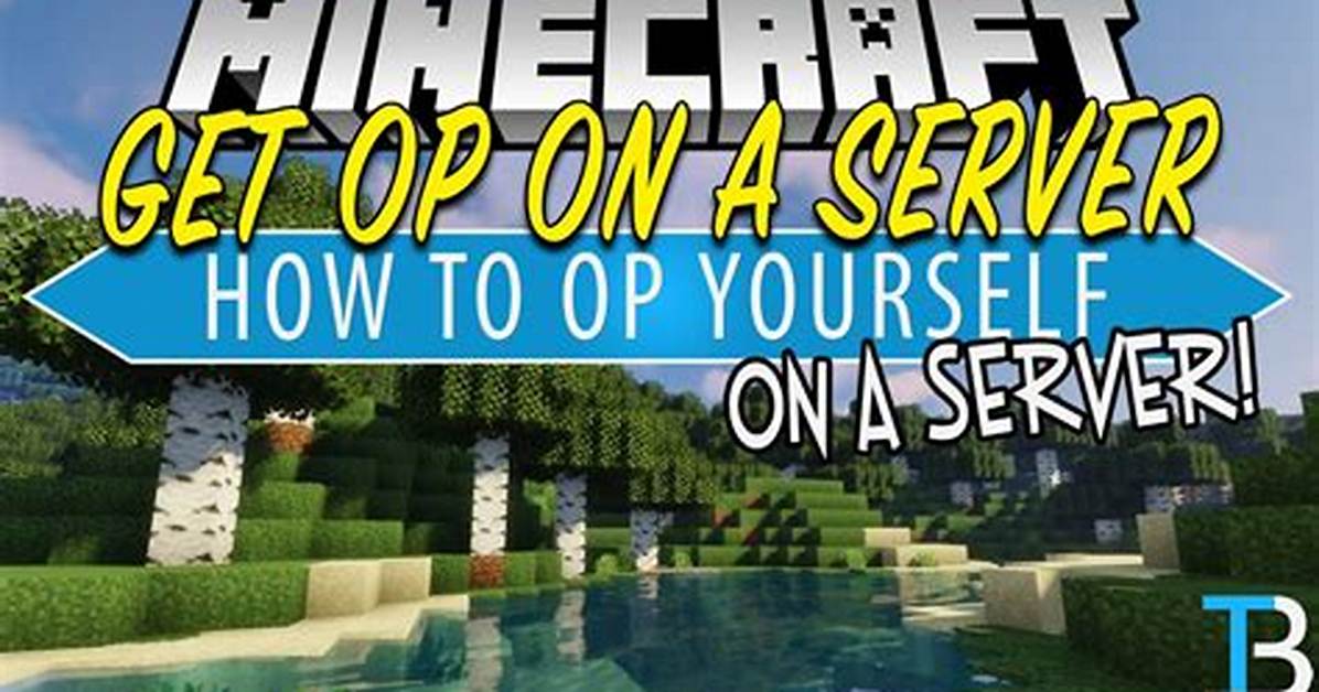 How to Op on Minecraft Server