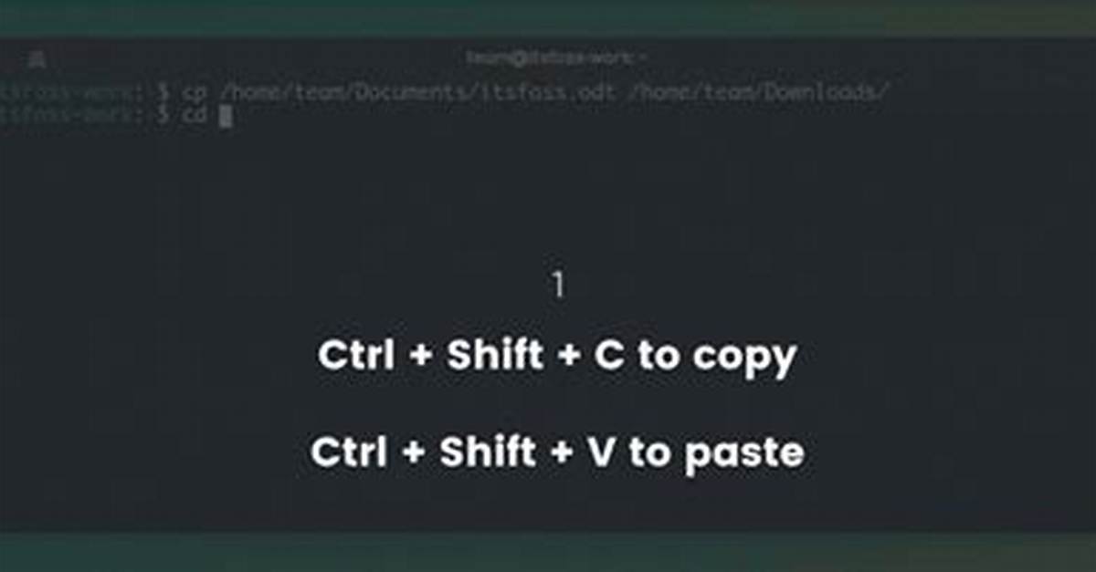 How to Paste into a Terminal?