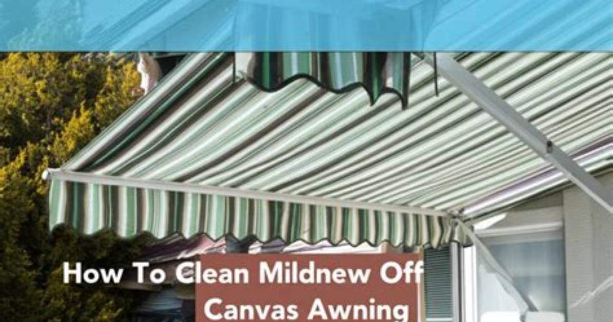 How to Prevent Mildew on Canvas?
