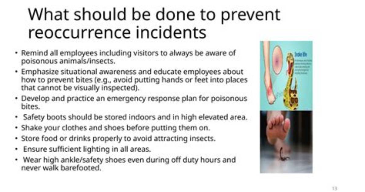How to Prevent Reoccurrence?