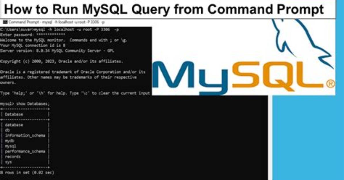 How to Prompt an Sql Query User to Input Information