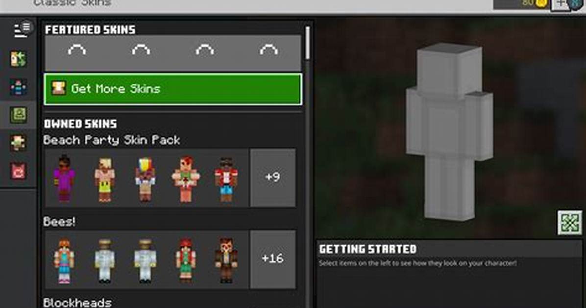 How to Put a Skin on Minecraft