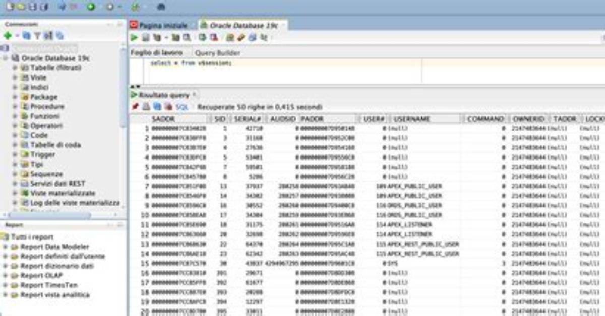 How to Query Database Name in Oracle Sql Developer?