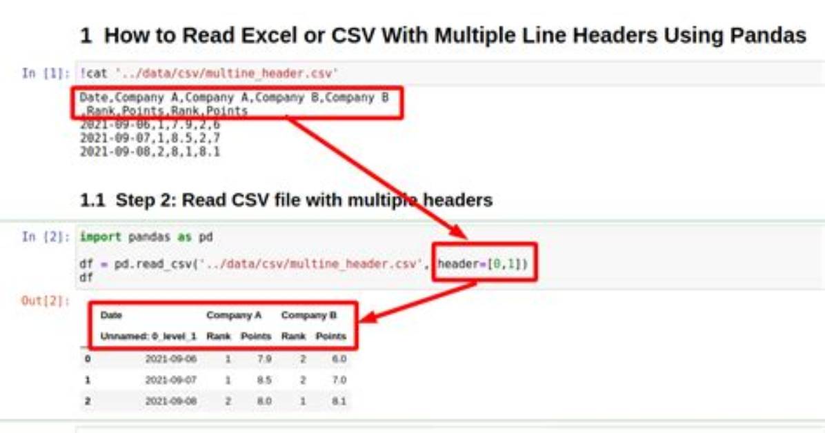 How to Read a Csv File from a Url with Python?
