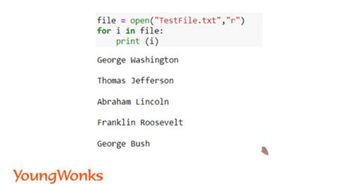 How to Read an Image in Python Opencv