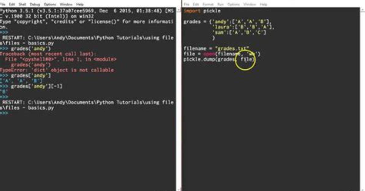 How to Read Pickle File?