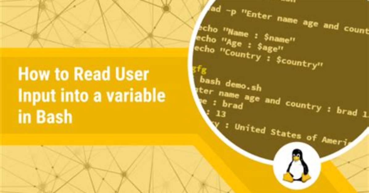 How to Read User Input into a Variable in Bash?