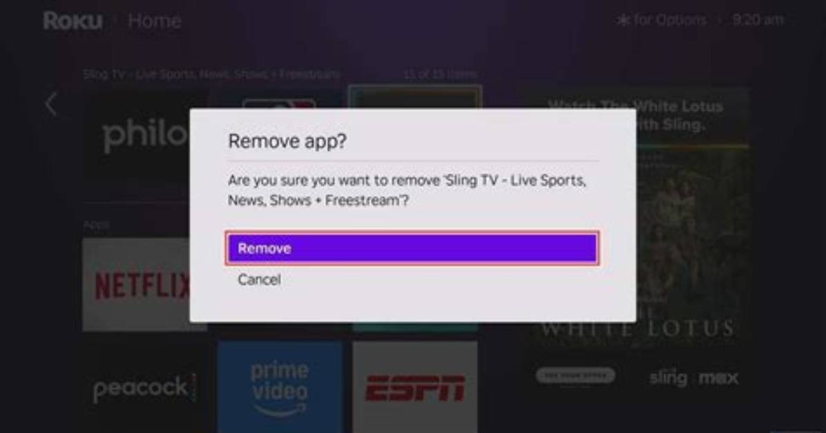 How to Remove Apps on Roku