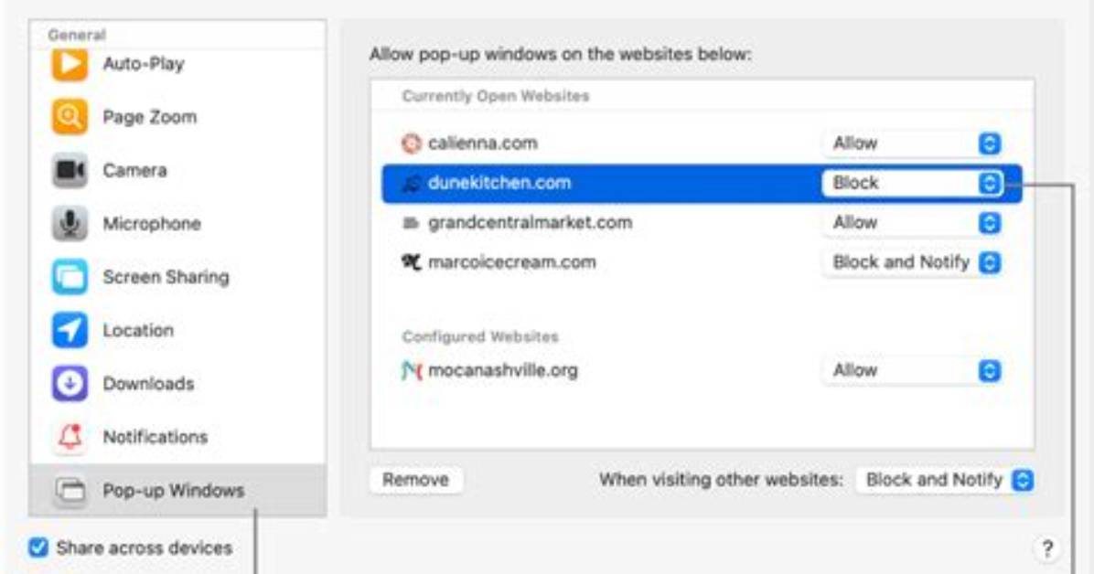 How to Remove Programmableblock. Store Pop-Ups? — Fix Guide