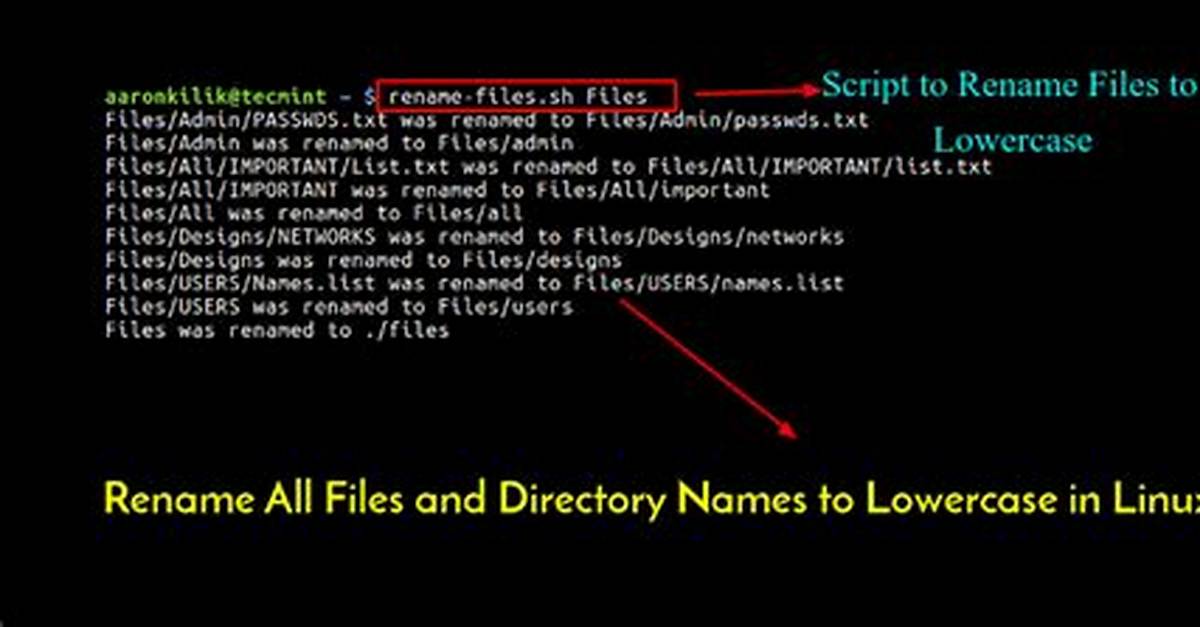 How to Rename a Folder in Linux?