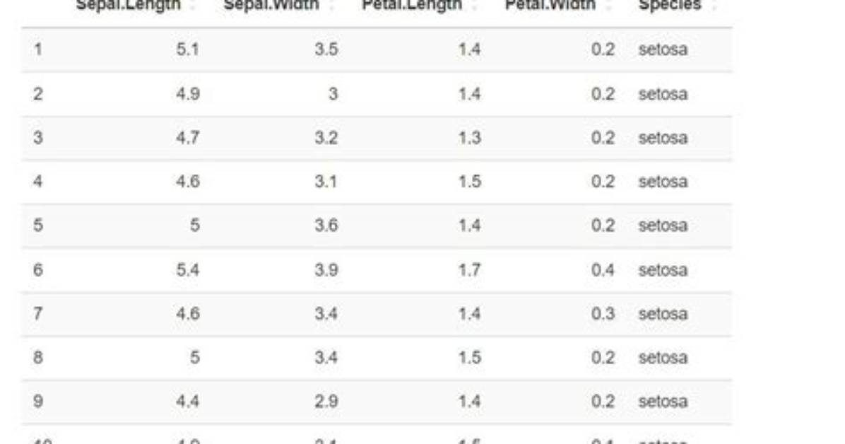 How to Render Datatable Using Dt in R Shiny