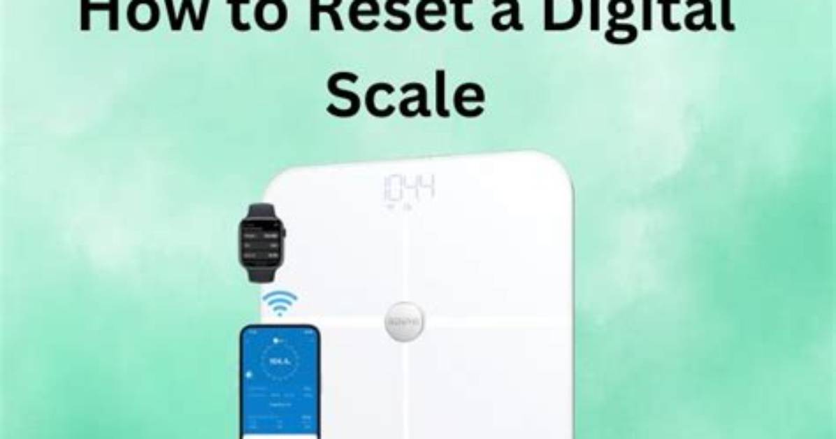 How to Reset Scale Menu Size Back to Default?
