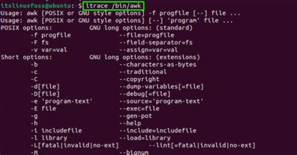 How to Run Binary File in Linux