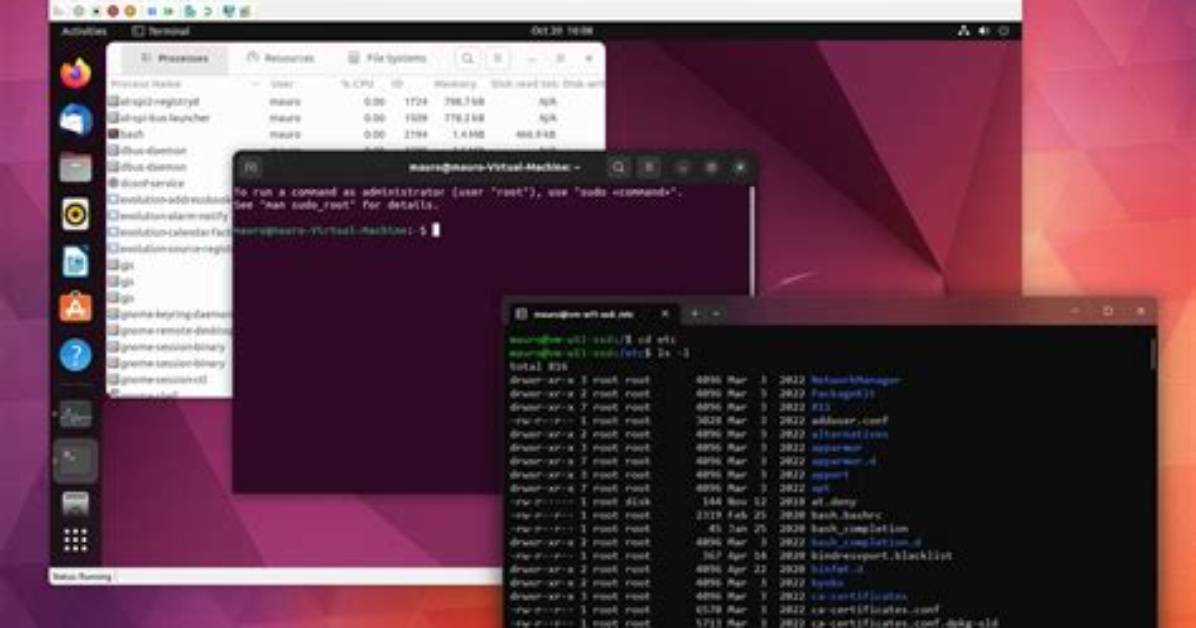 How to Run Linux on Windows?