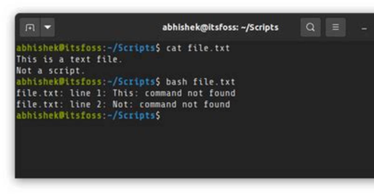 How to Run Shell Script in Linux?