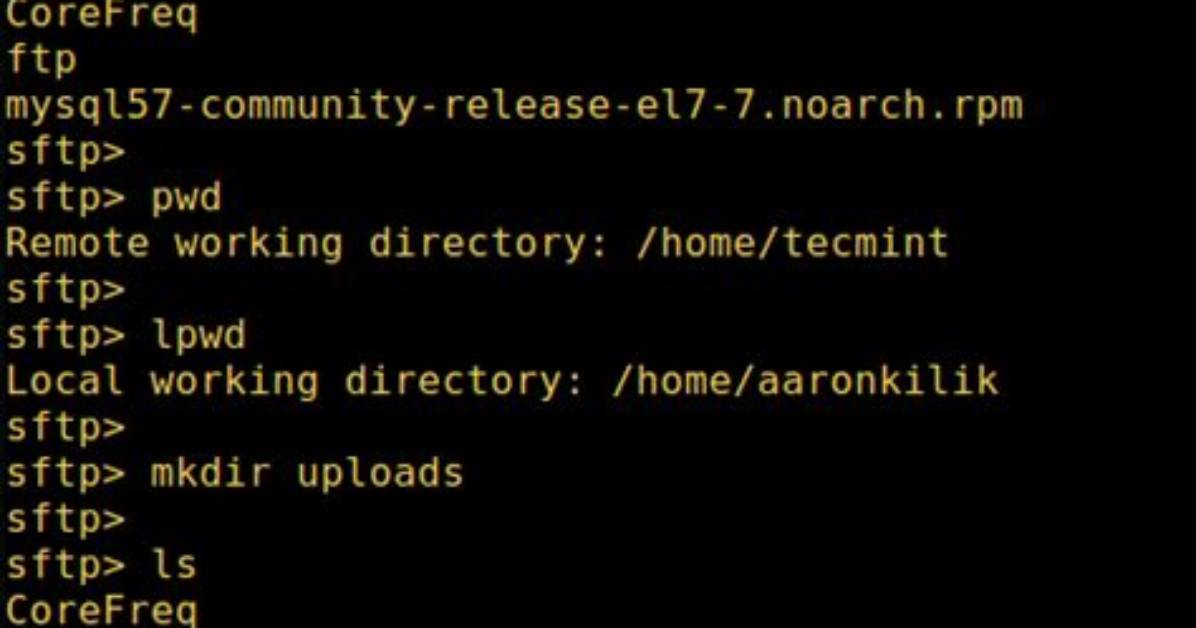 How to Run the Sftp Command with a Password from Bash Script?