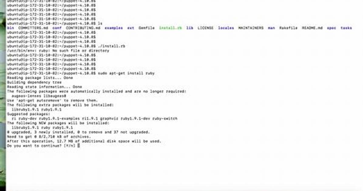 How to Solve "/Usr/Bin/Env: Ruby_Executable_Hooks: No Such File or Directory"?