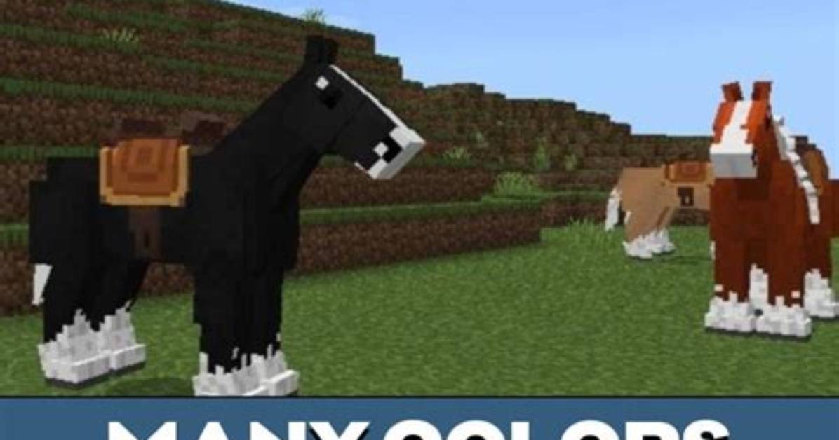 How to Spawn a Specific Horse in Minecraft