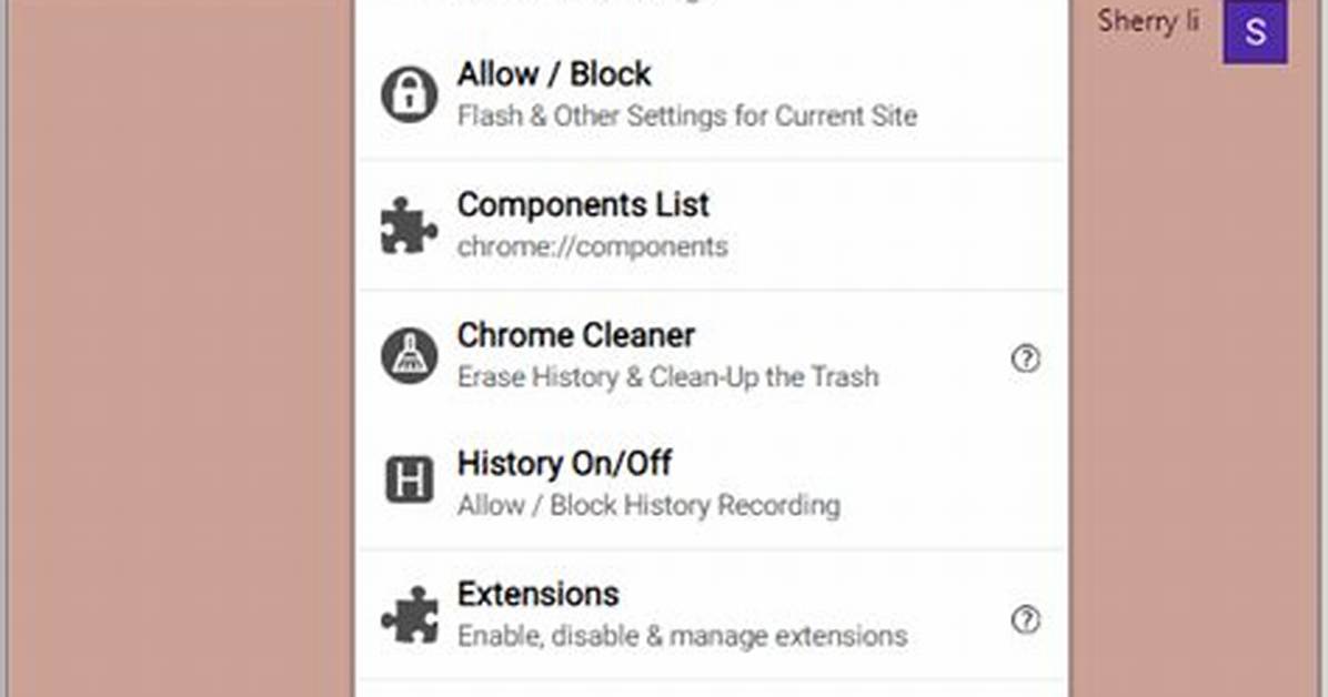 How to Start Chrome Without Plugins?