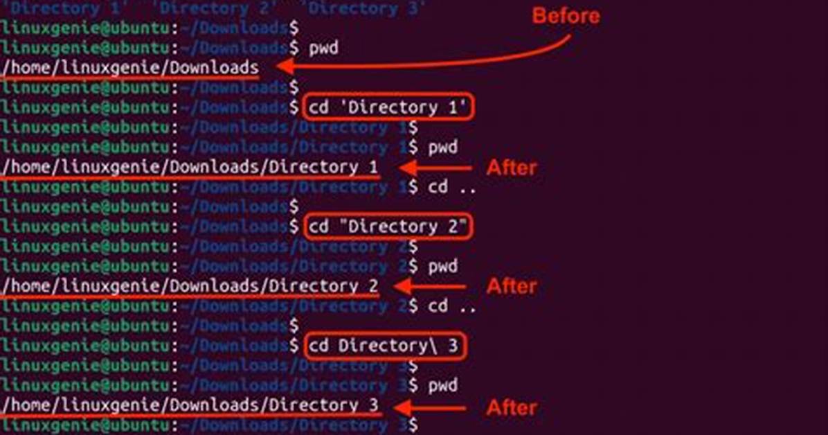 How to Start Executable Program from Terminal?