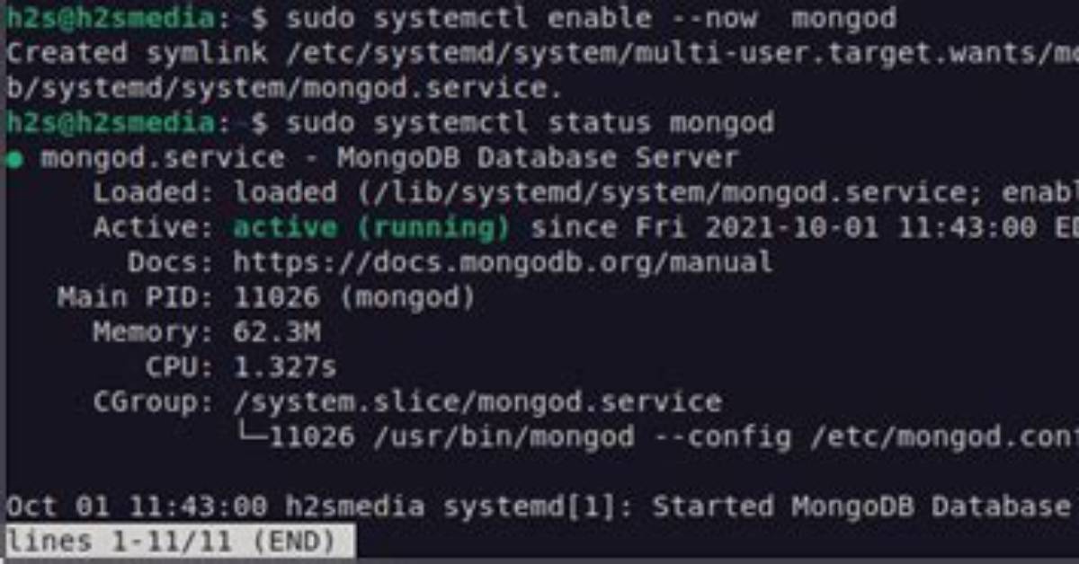 How to Start Mongodb Server on System Start?