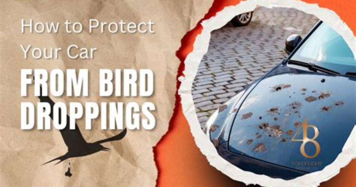 How to Stop Crapping?