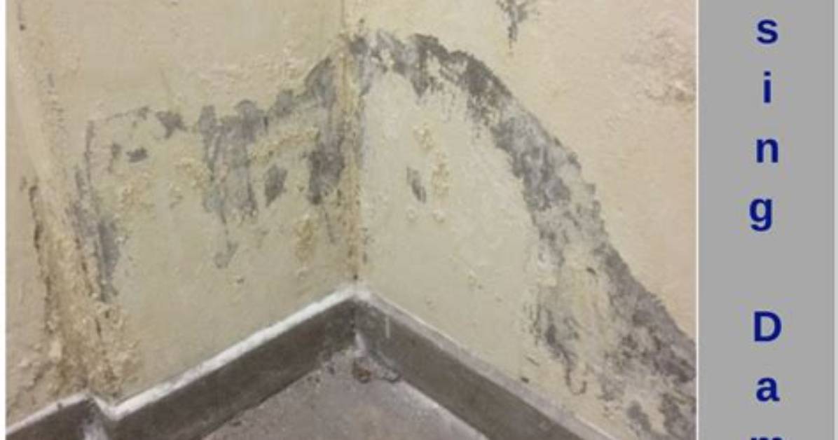 How to Stop Rising Damp?