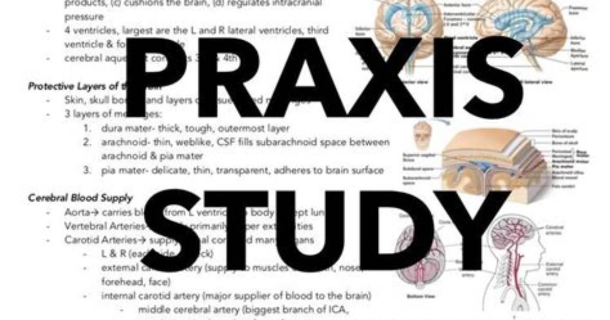 How to Study for the Praxis