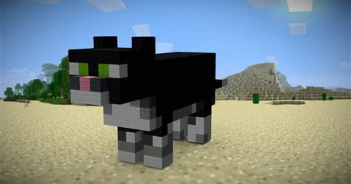How to Train a Cat Minecraft