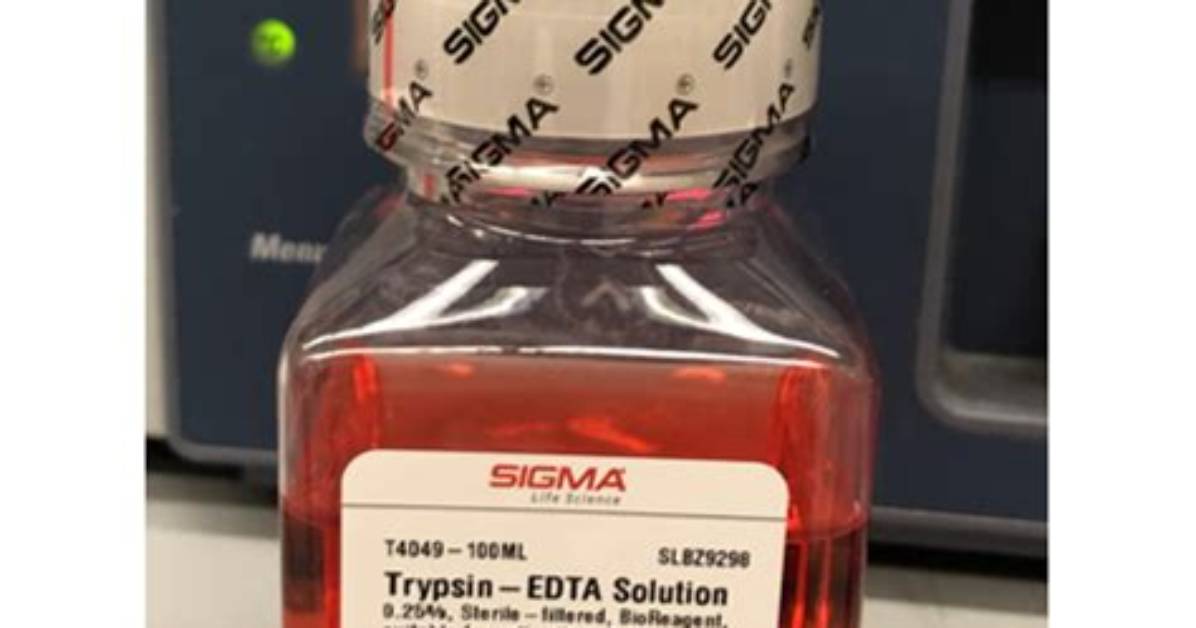 How to Trypsinize Cells?