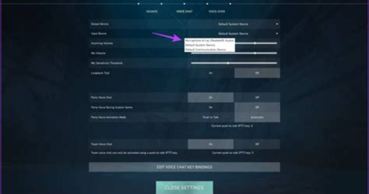 How to Turn off Mic in Valorant