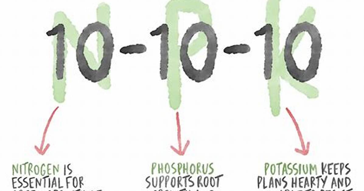 How to Understand Fertilizer Numbers