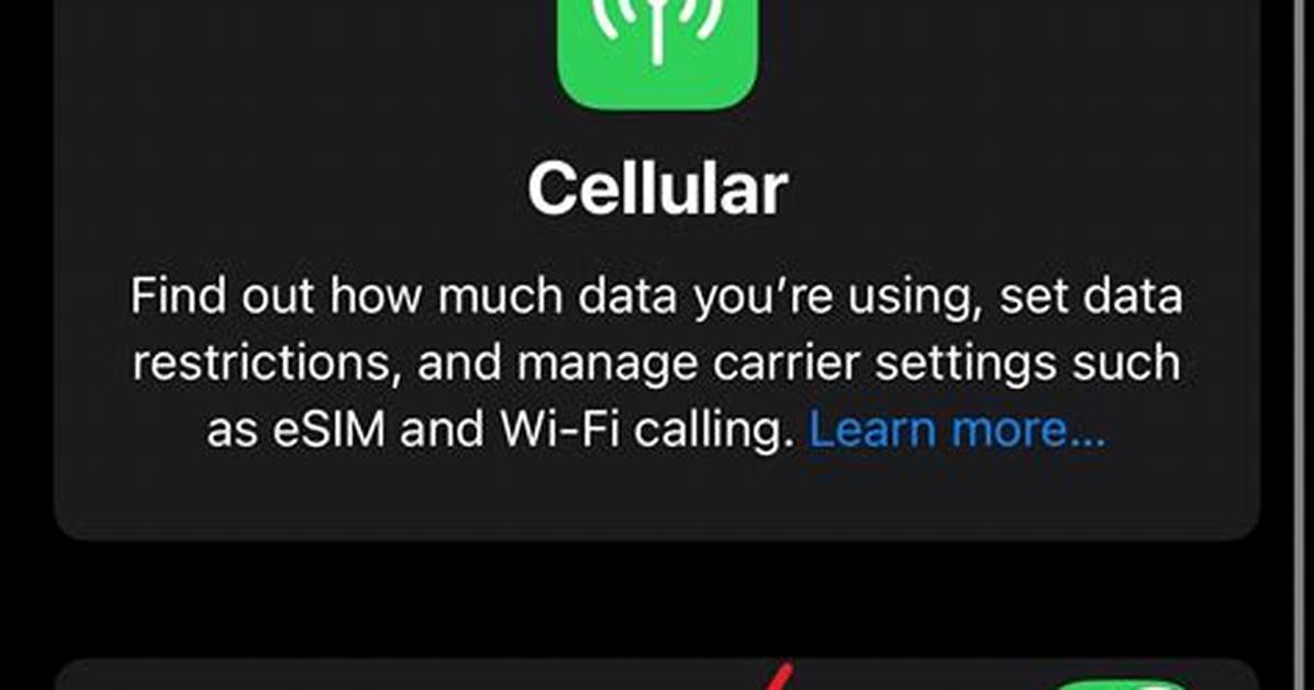How to Update Ios with Cellular Data?
