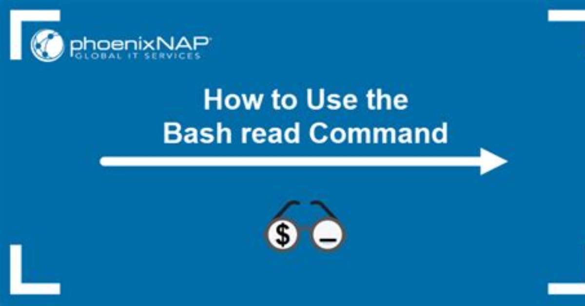 How to Use Bash Read with a Timeout?