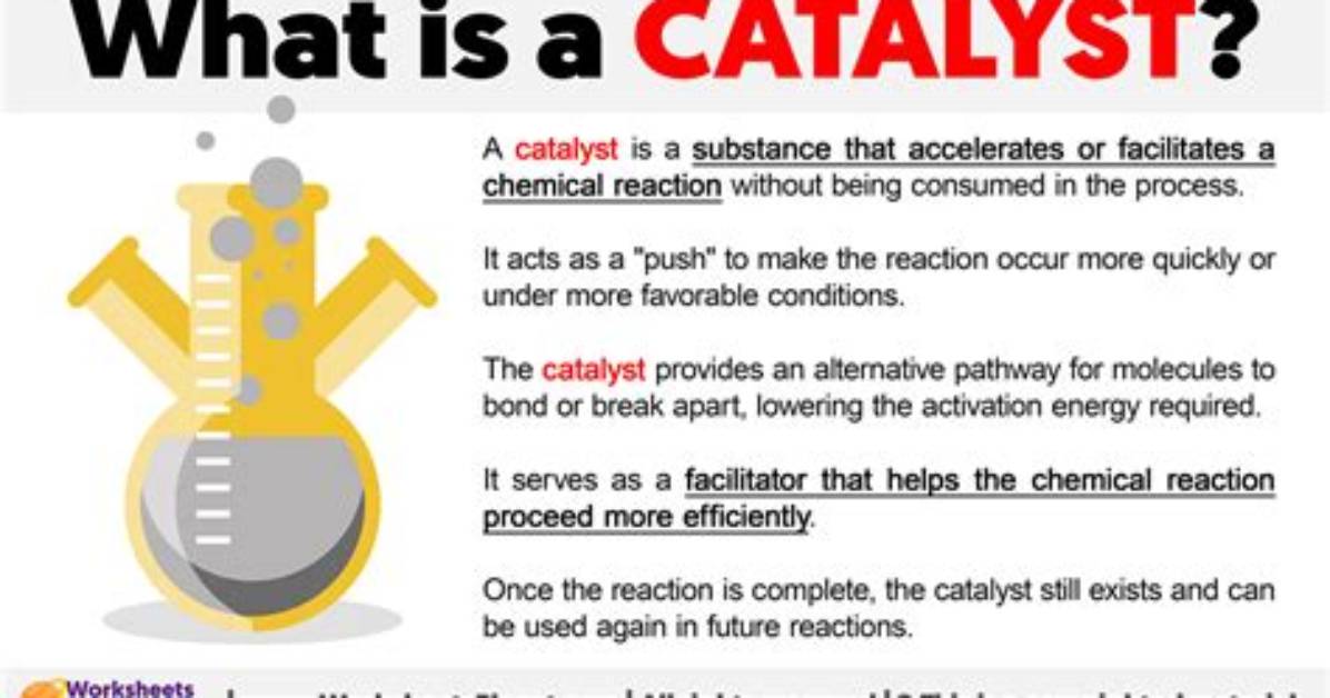 How to Use Catalyst?