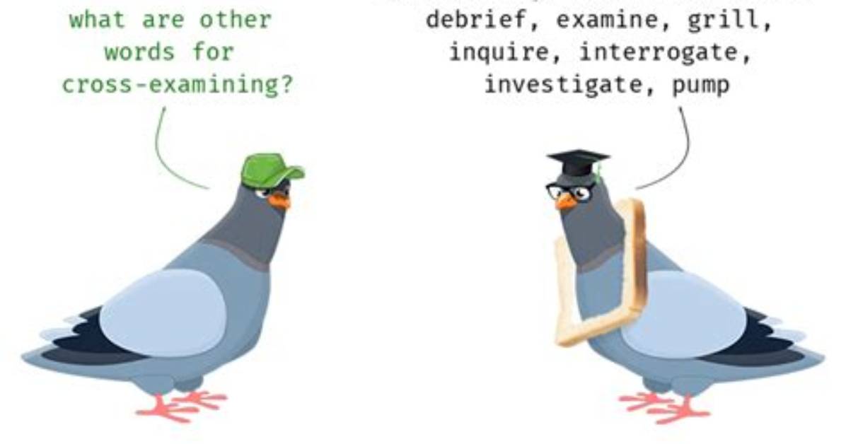 How to Use Cross Examining?