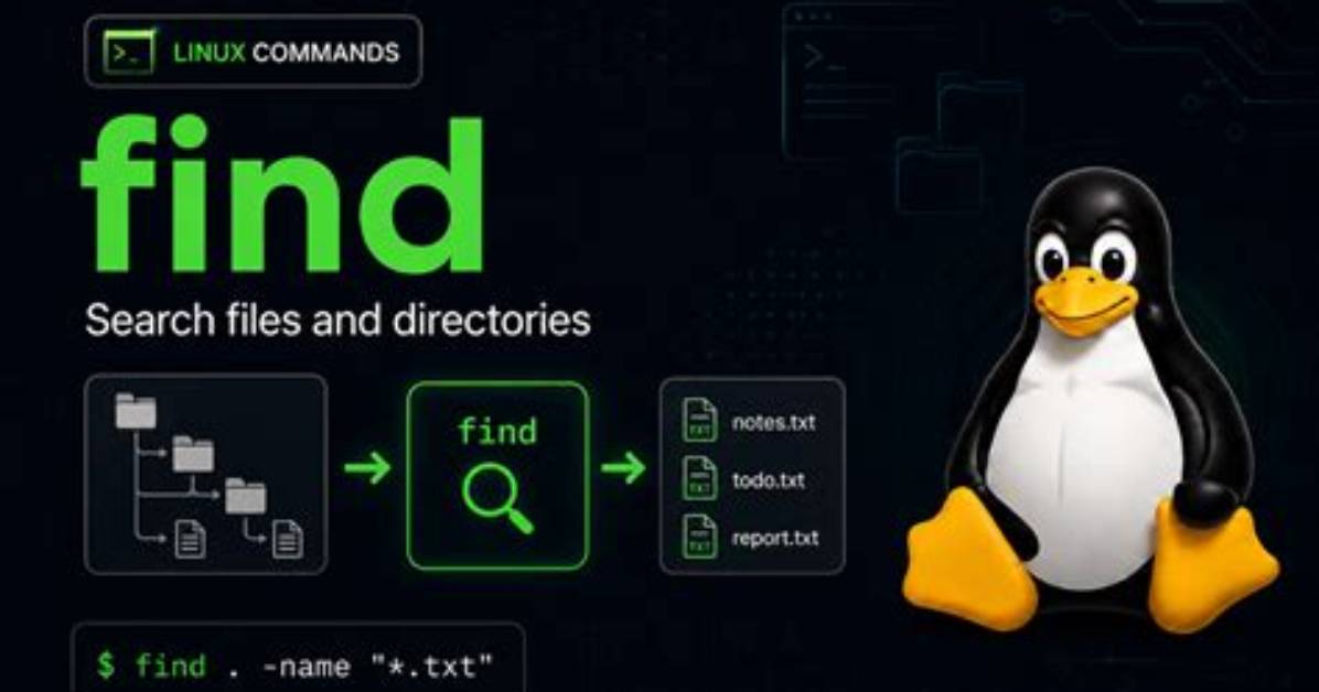 How to Use Find in Linux?