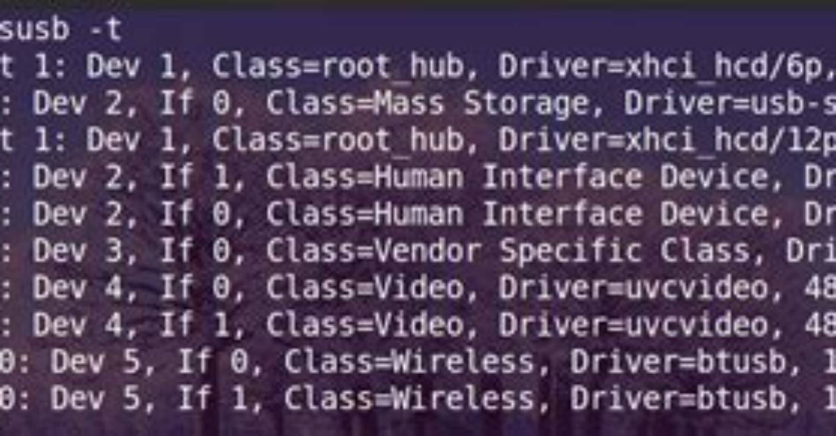 How to Use Lsusb in Linux (With a Practical Example)