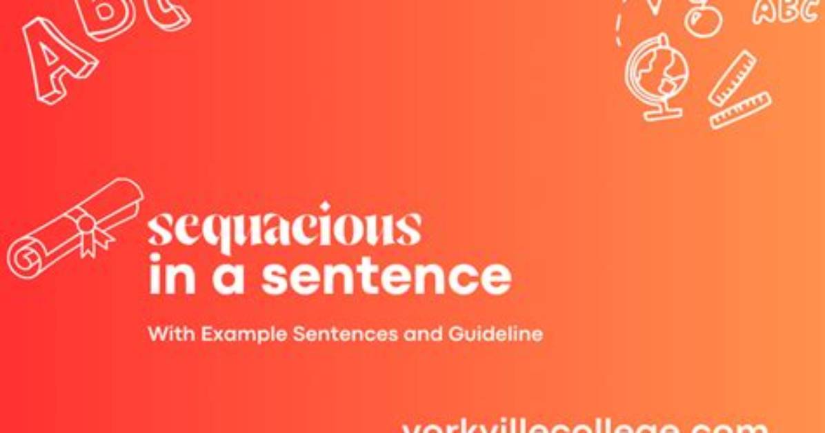 How to Use Sequacious in Sentence?