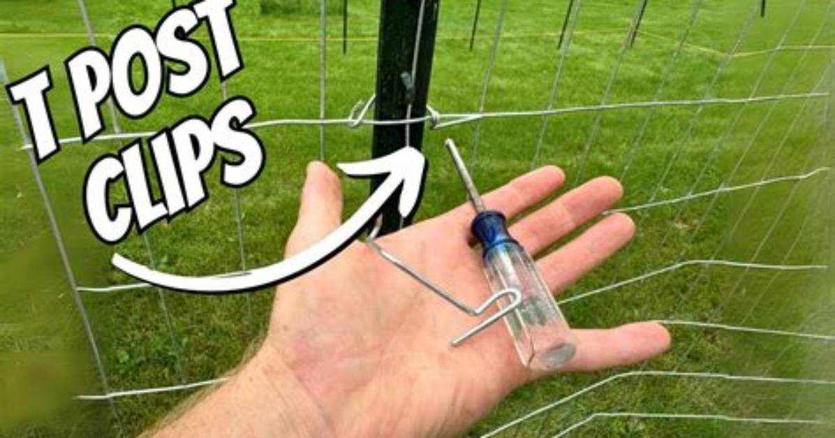 How to Use T Post Clips