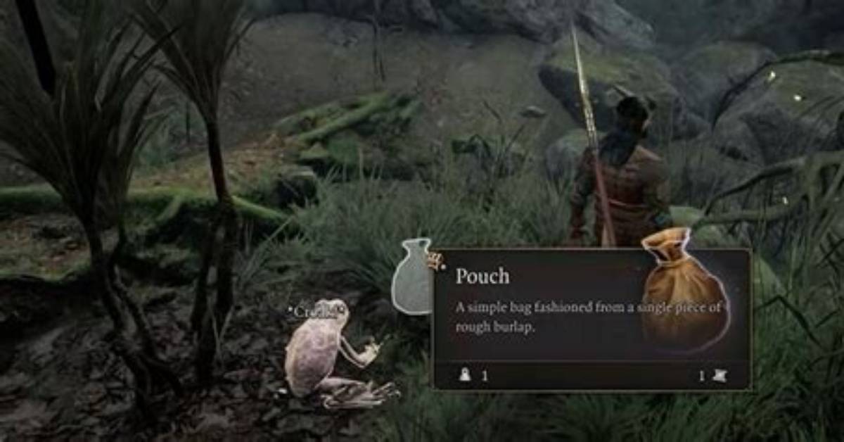 How to Use the Addled Frog