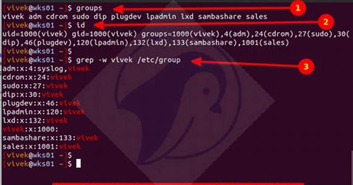 How to View Groups in Linux?