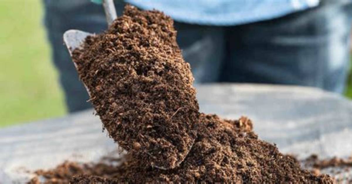How Topsoil Is Made?