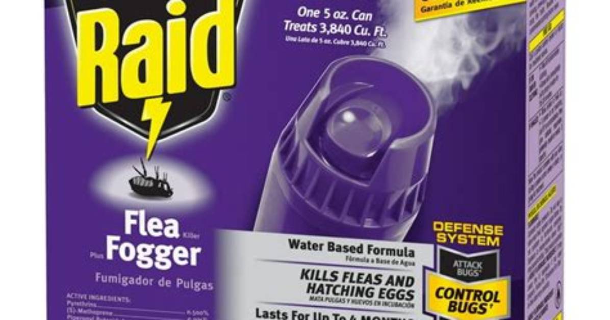 How Toxic Are Flea Bombs