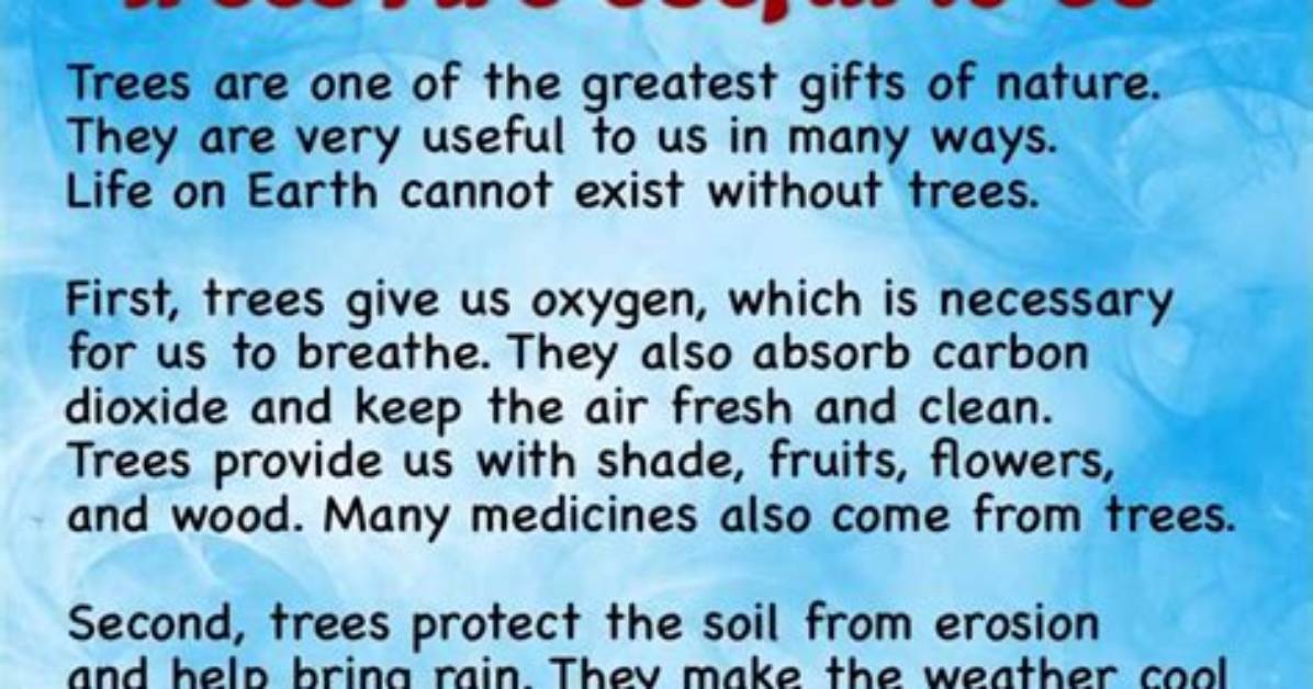 How Trees Are Useful for Us?