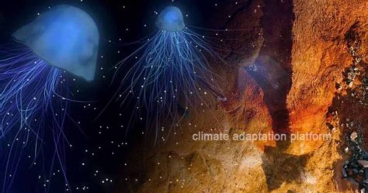 How Tropics Affect Climate?
