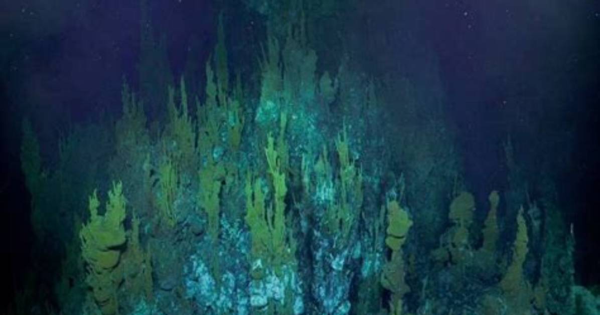 How Unexplored Is the Ocean?