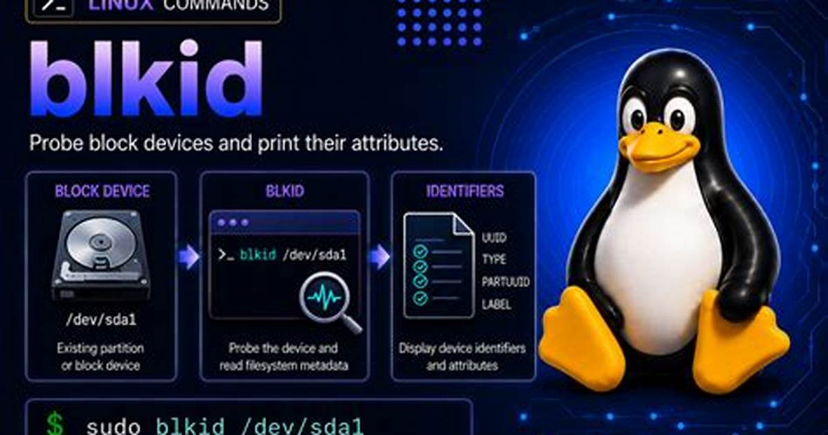 How Use Blkid Command in Linux?