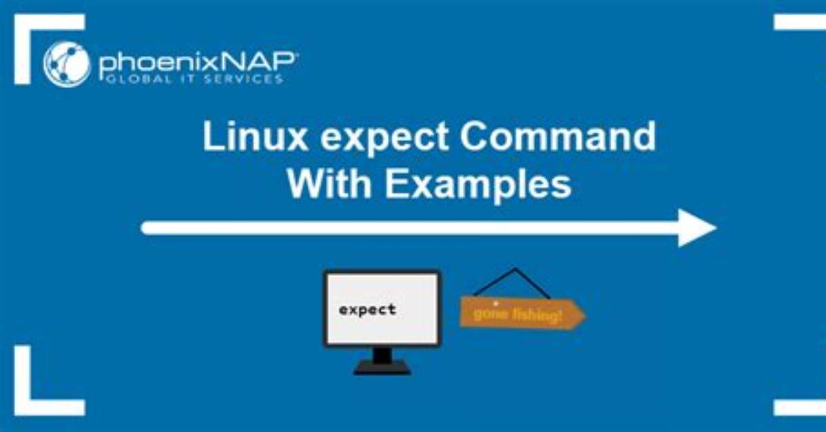 How Use Linux Expect?