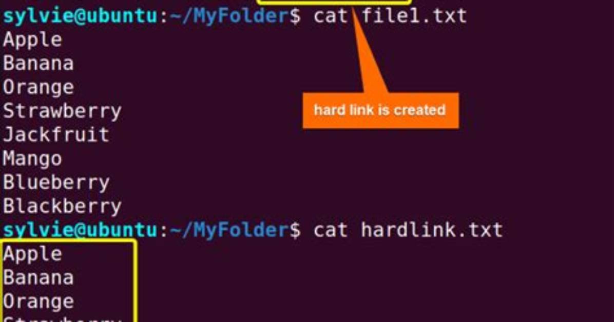 How Use Ln Command in Linux with Example?